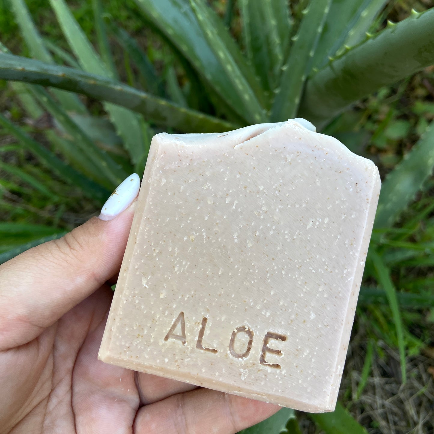 Aloe, Eucalyptus and Mint Soap Bar