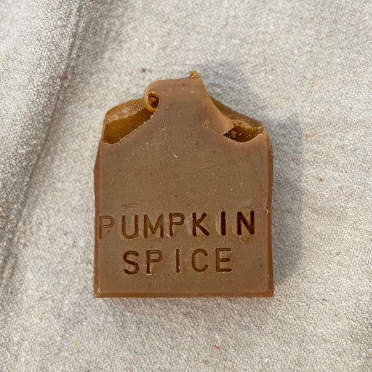 Pumpkin Spice Soap Bar