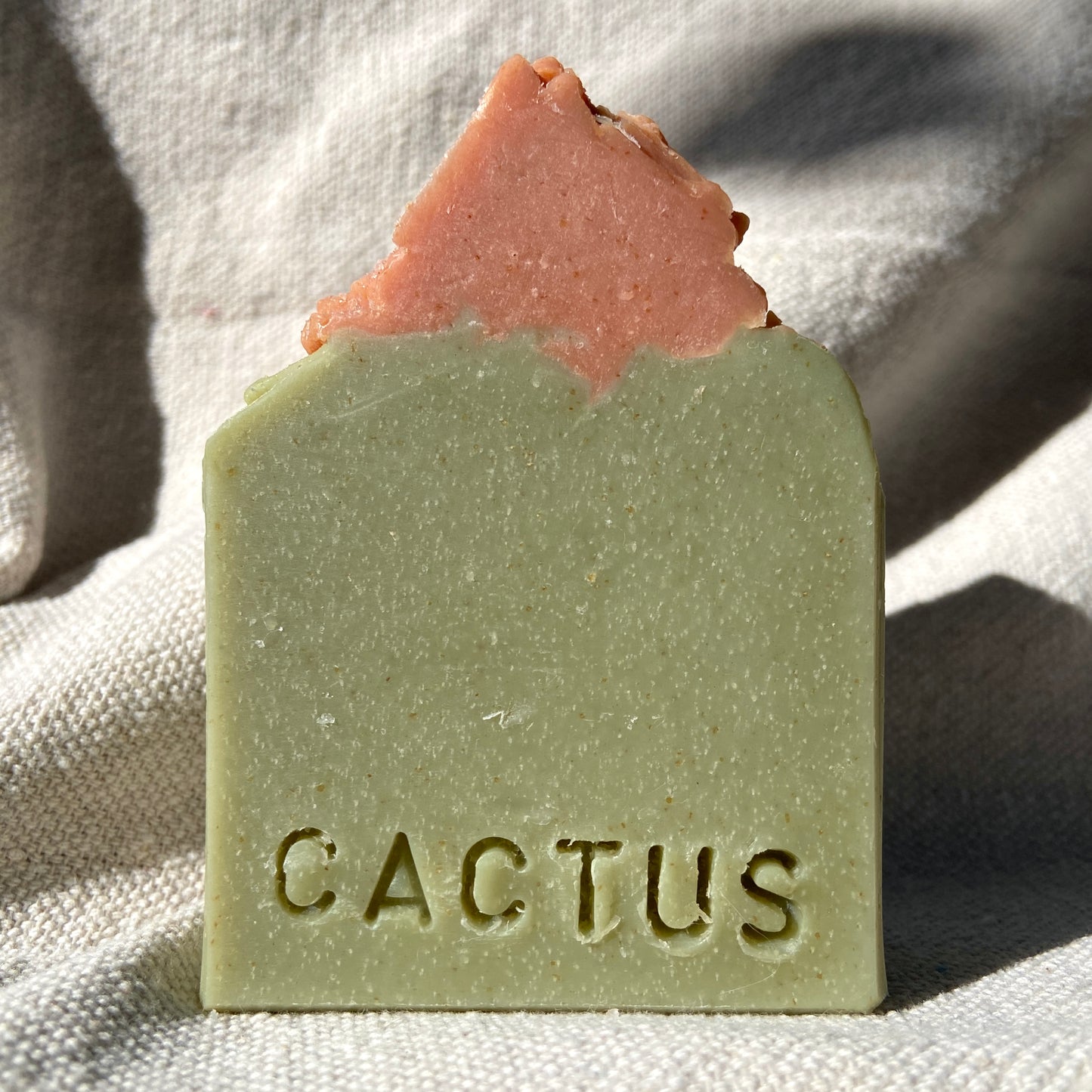 Cactus Soap Bar